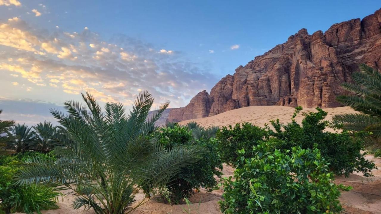 Villa الجوهرة Diamond Plus à Al-Ula Extérieur photo
