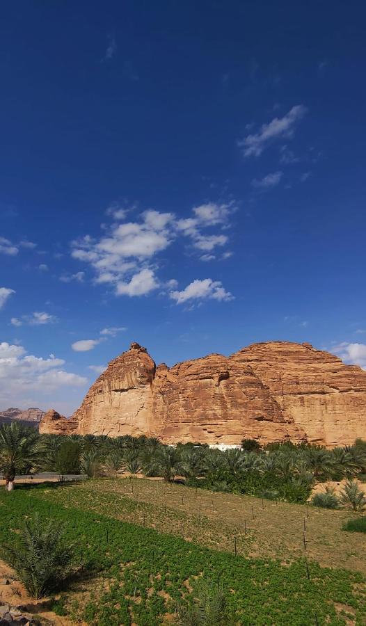 Villa الجوهرة Diamond Plus à Al-Ula Extérieur photo