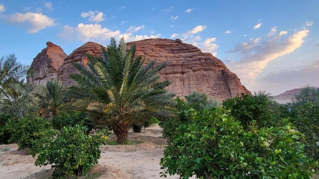 Villa الجوهرة Diamond Plus à Al-Ula Extérieur photo