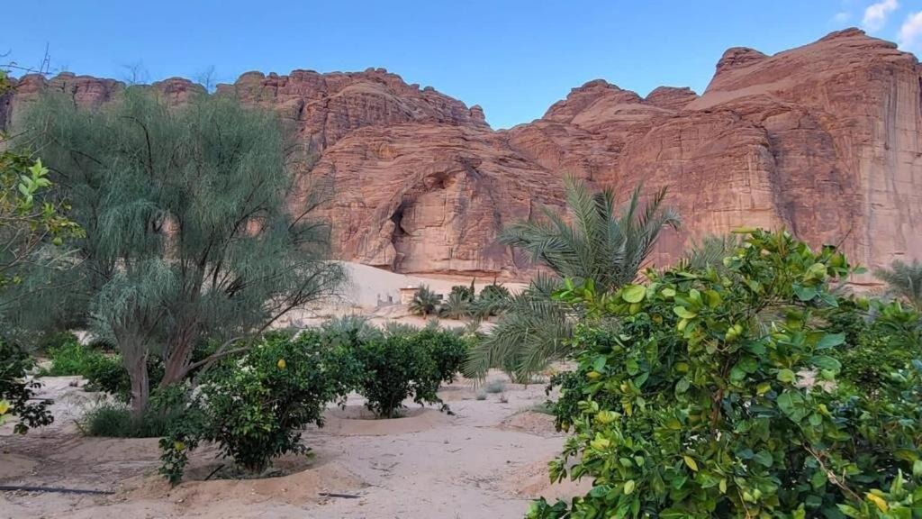 Villa الجوهرة Diamond Plus à Al-Ula Extérieur photo