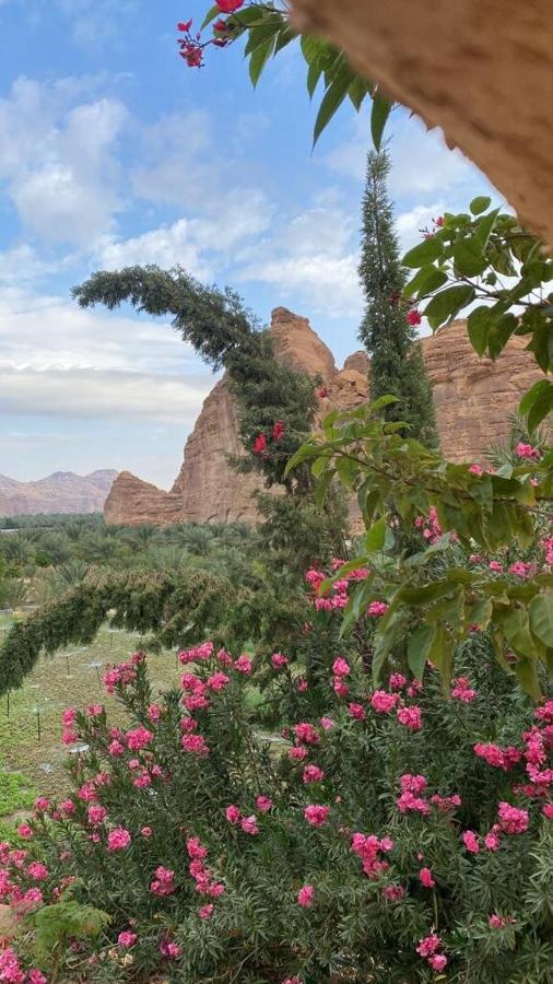 Villa الجوهرة Diamond Plus à Al-Ula Extérieur photo