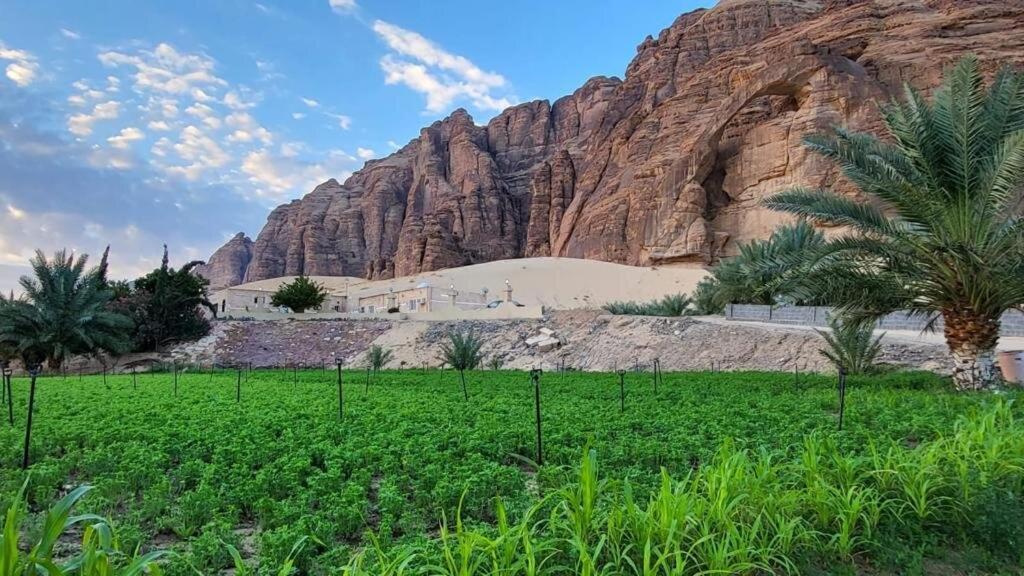 Villa الجوهرة Diamond Plus à Al-Ula Extérieur photo